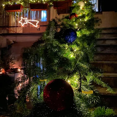 La Casa Di Cesare *